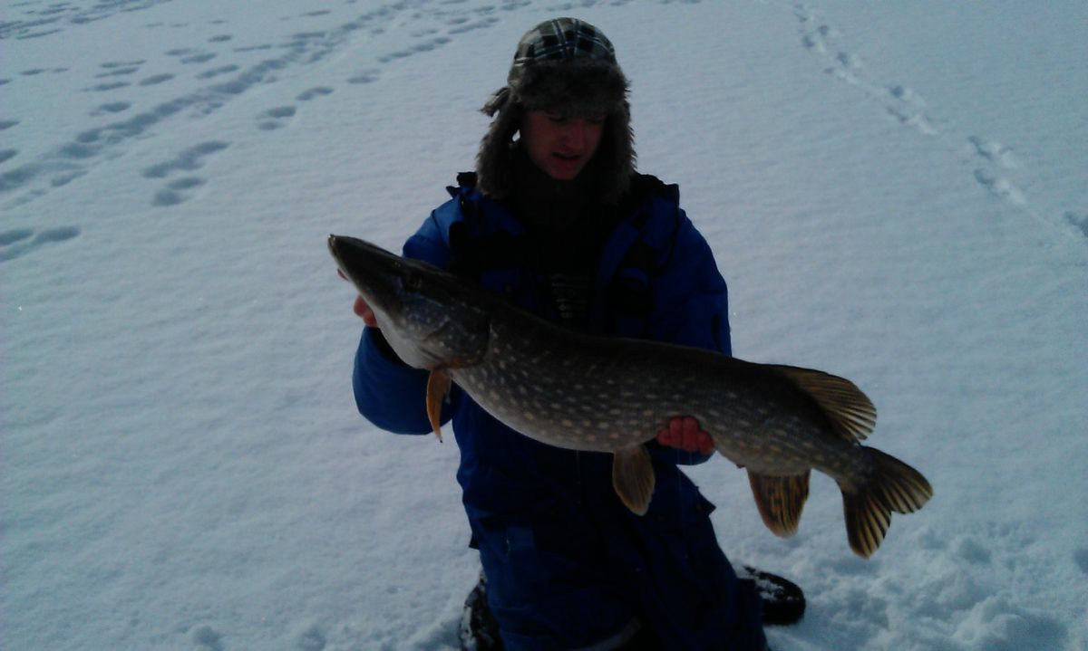 Enger med nok en fin fisk. (Saturday, March 16, 2013)