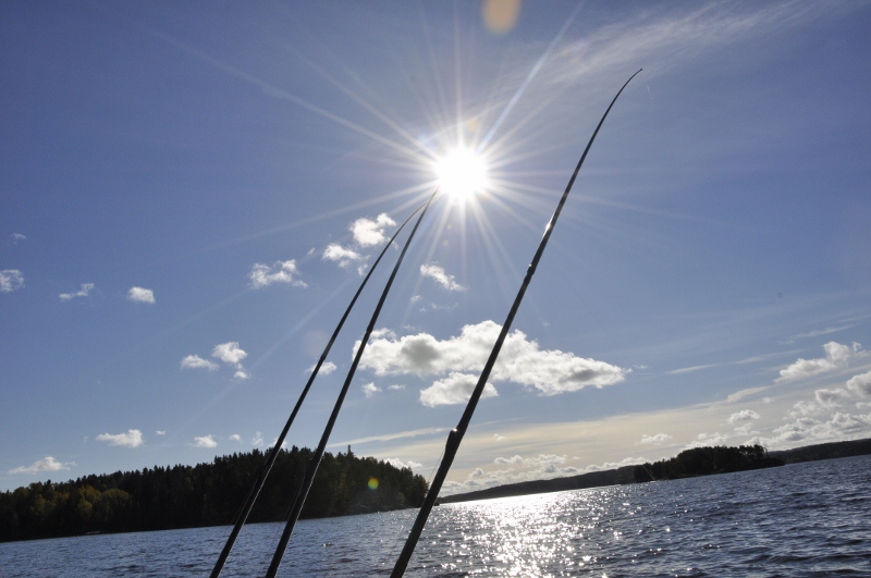 Hvordan starte med trolling etter gjedde del3