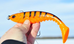 Berkley ripple shad. 