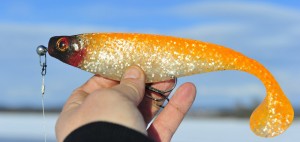 Jeff Boggs 9" shad 
