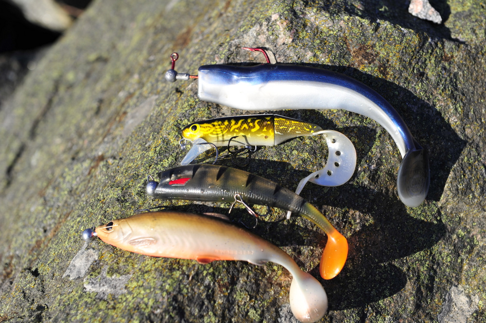 pike145-pikefighter-westin jättetail-dextershad-shaker