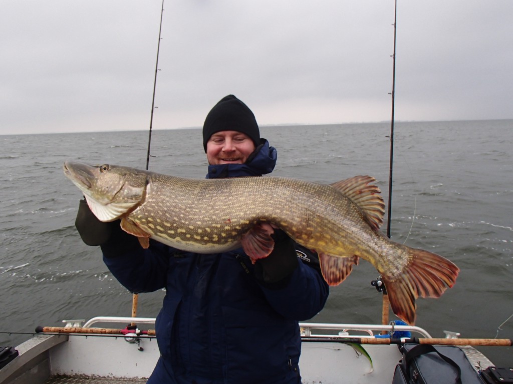 En Vecka I Stor Gäddornas Rike (skrevet av Svartzonker)
