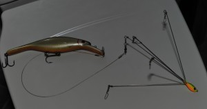 umbrella rigg 