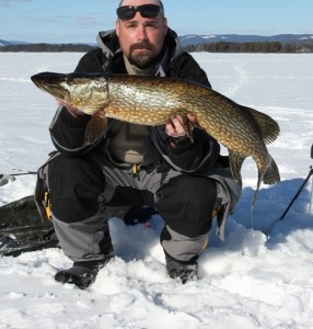 6140gr 98 cm