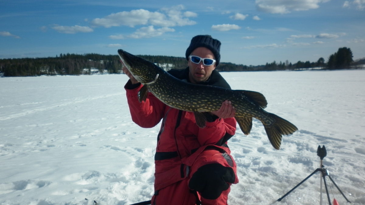 Lindtorp koser seg i solen.(Thursday, March 28, 2013)
