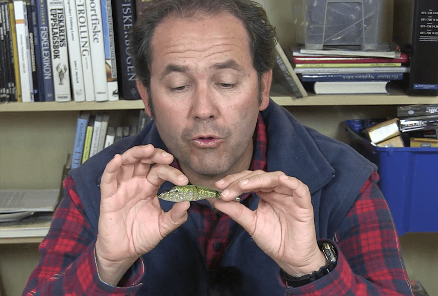 Magic Swimmer Soft riggad för Drop Shot fiske.