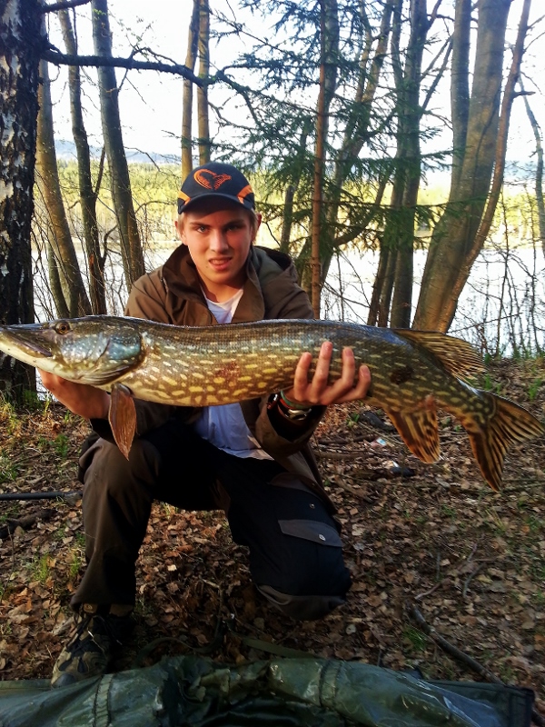 Innmelding i nybegynner konkurransen
