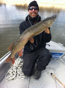 6300 gr 