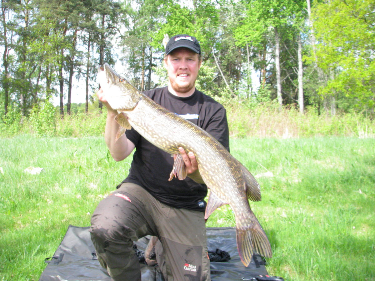 Team ABU Garcia leverer fisk ved Mattias (mai)