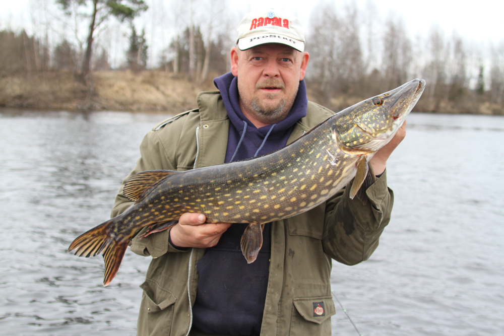 Bjørn med en flott 7+ fisk. (Wednesday, May 1, 2013)