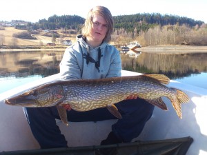 7860 gr og 104 cm 