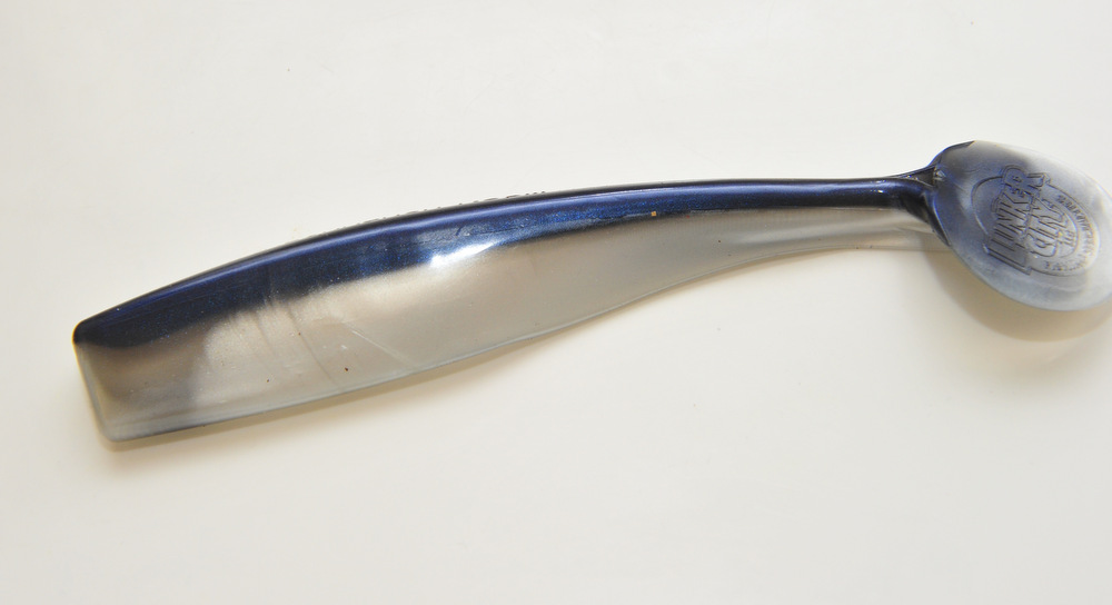 Alewife