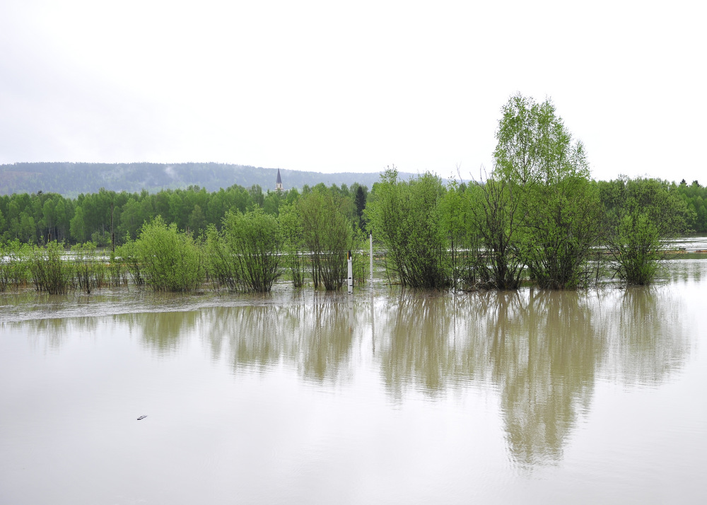 Naturinformasjonssentret.