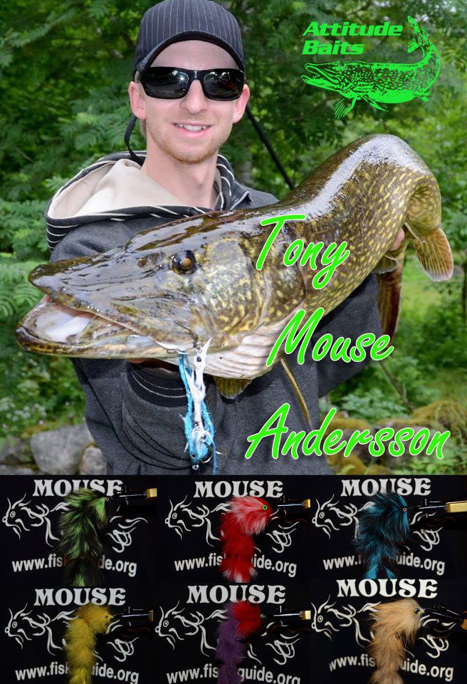 His motto is: «If there is water, there’s fish! Don’t give up!» The mouse.