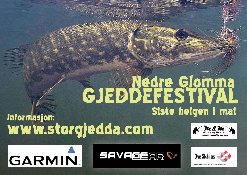 Nedre Glomma Gjeddefestival, nå til helgen.