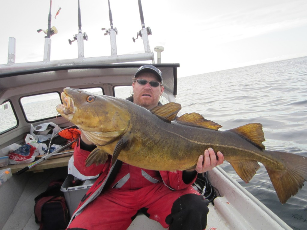 LIVE fisking med Cato Bekkevold – 12.juni kl 20:00