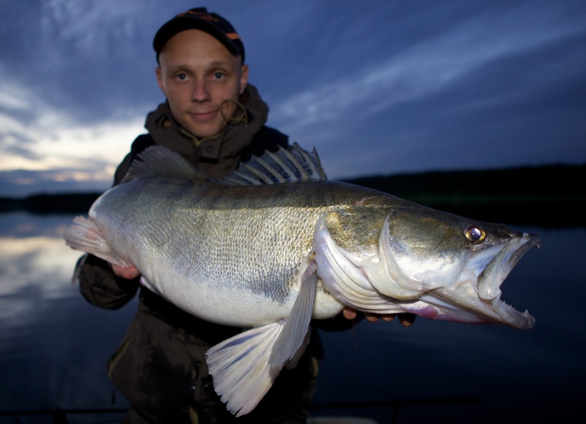 RÅ NORSK GJØRS (JUNI) 10240GR