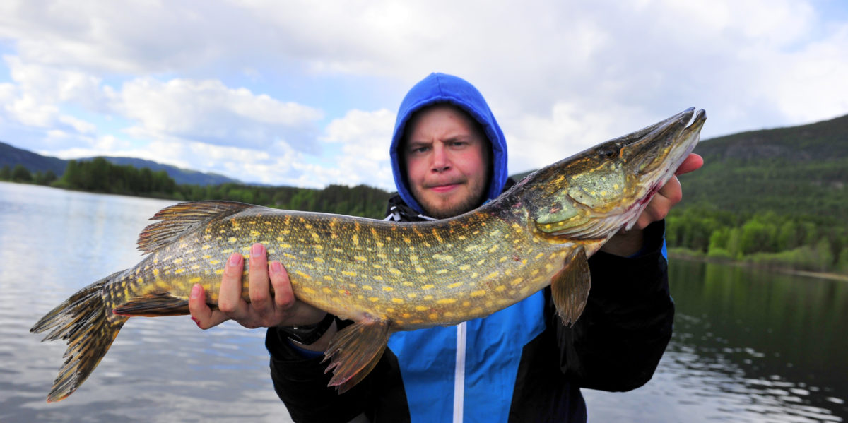 Frank med nesten ny PB (juni)