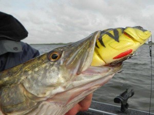 600628_577034462341343_1178409352_n