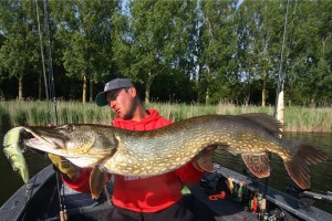 922752_572599529457533_12394682_n