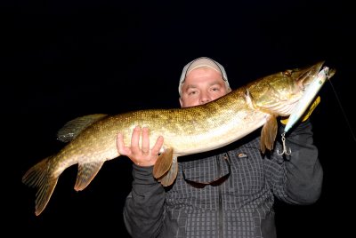 Hva kan man fiske gjedde med ? Vi tar for oss topwater.