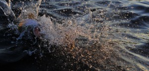 det plasket og hold på 