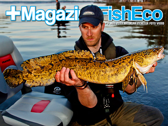 MagazineFishEco