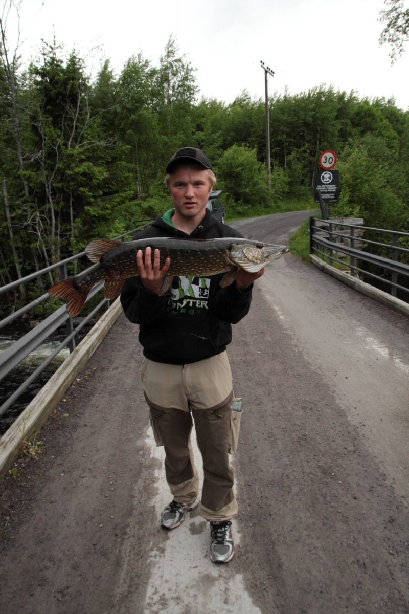 Det kommer litt javnt og trutt inn i newbie konken!