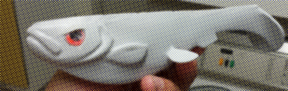 Hysj hysj hysj……………..