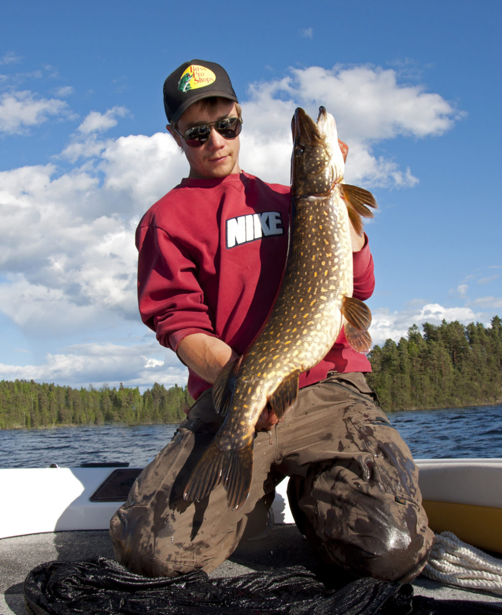 Mattias med flere gjedder.(juni)