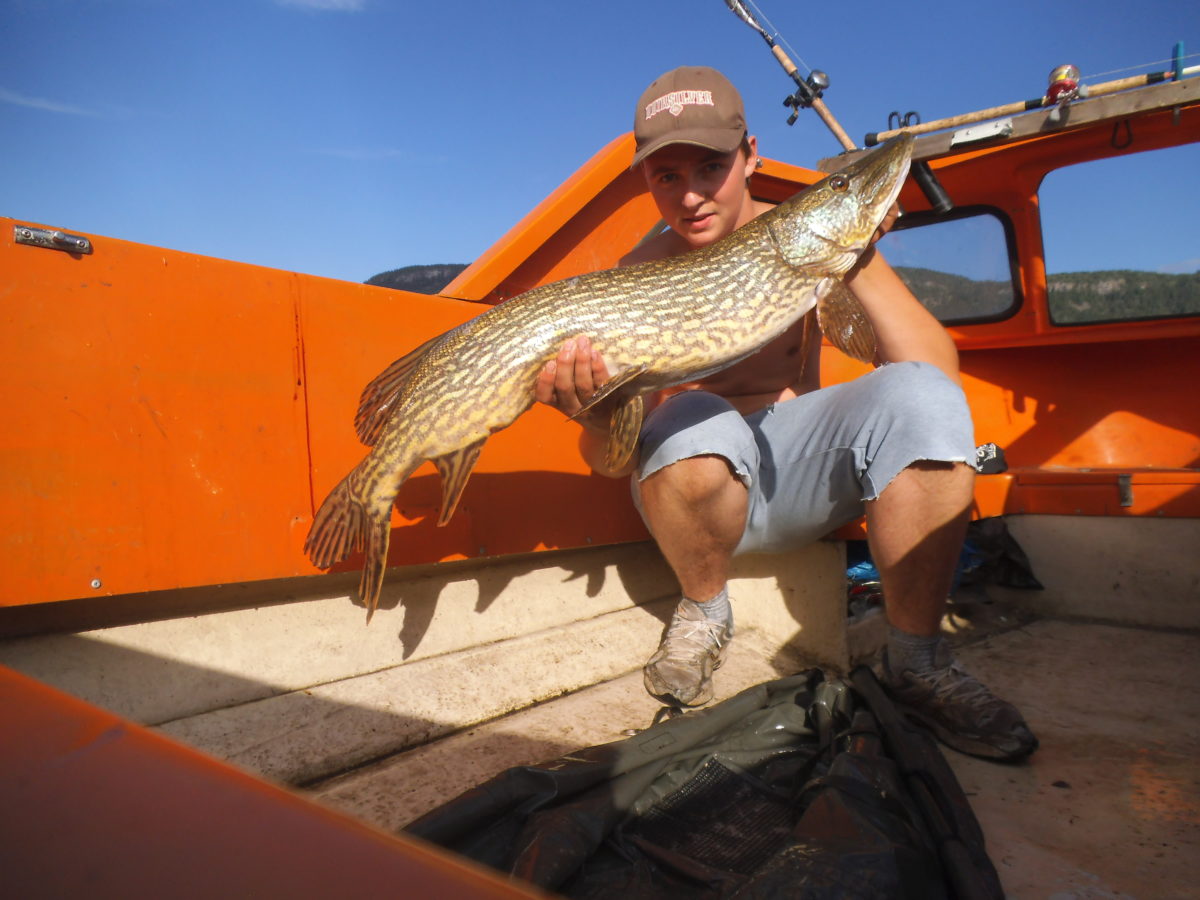 Hafnor med fine fisken (juli)