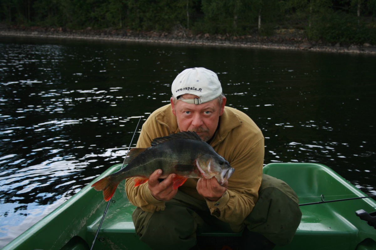 To gromme topwater abborer (august)