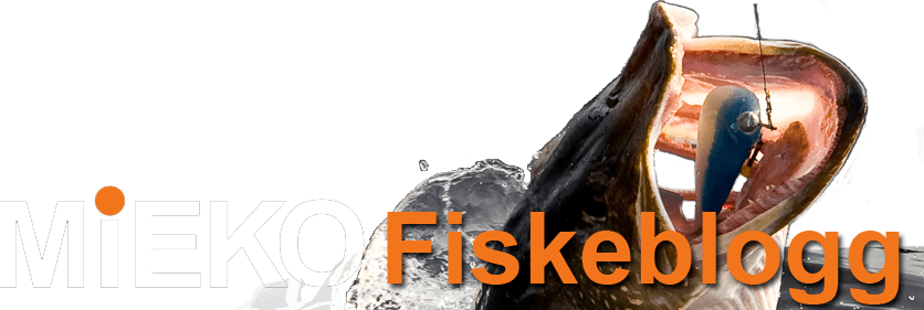 Gäddfiske i Norrland