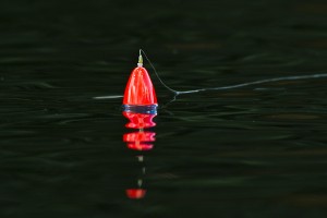 IMG_1557 copy