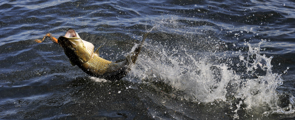 Vi henger litt etter, etter ferien.