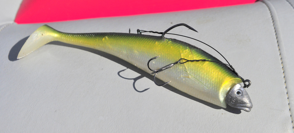 Nitro shad