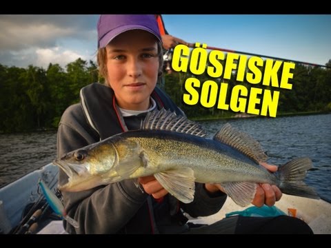 Herlig vertikalfilm