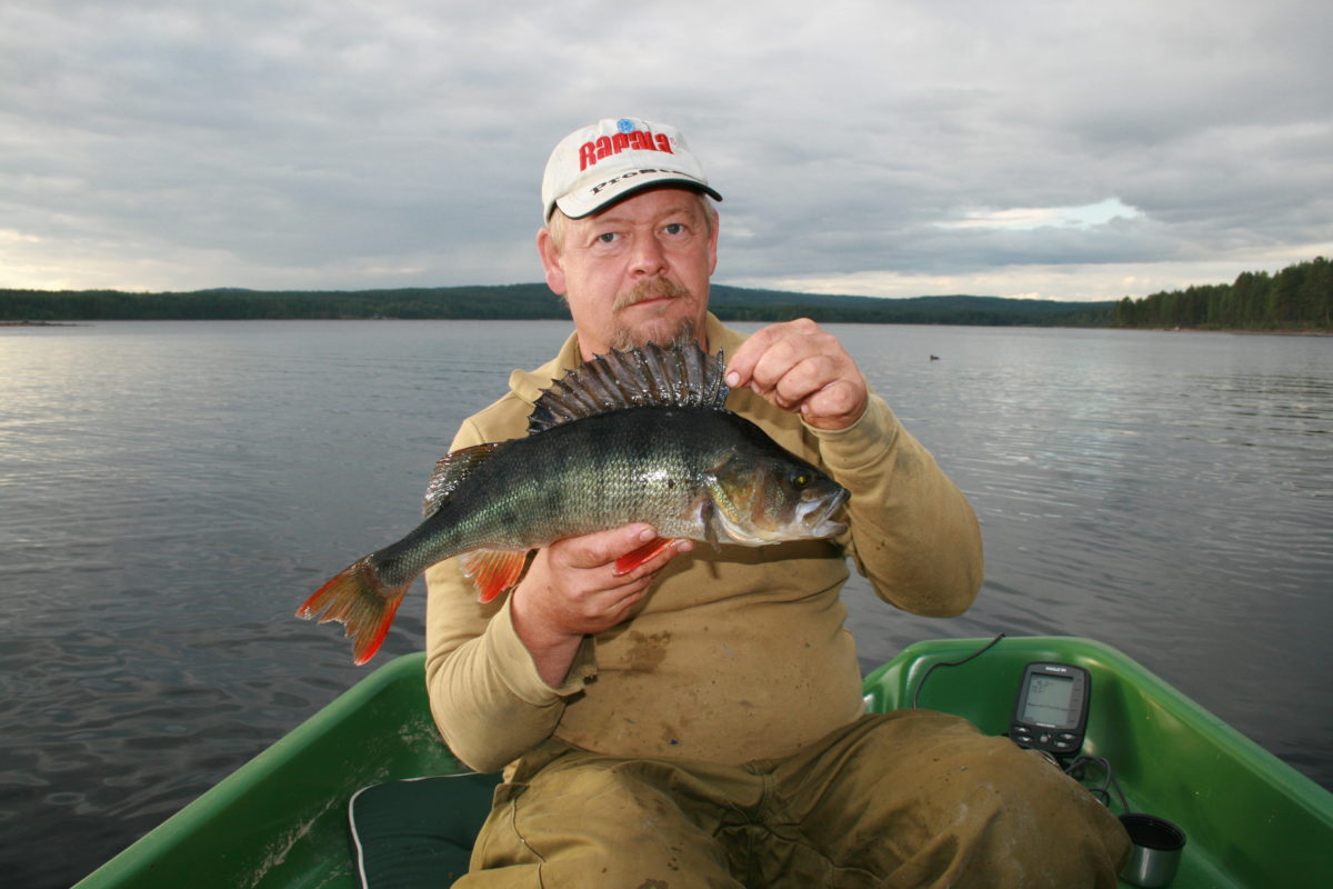 Bjørn rykker i fra (august)