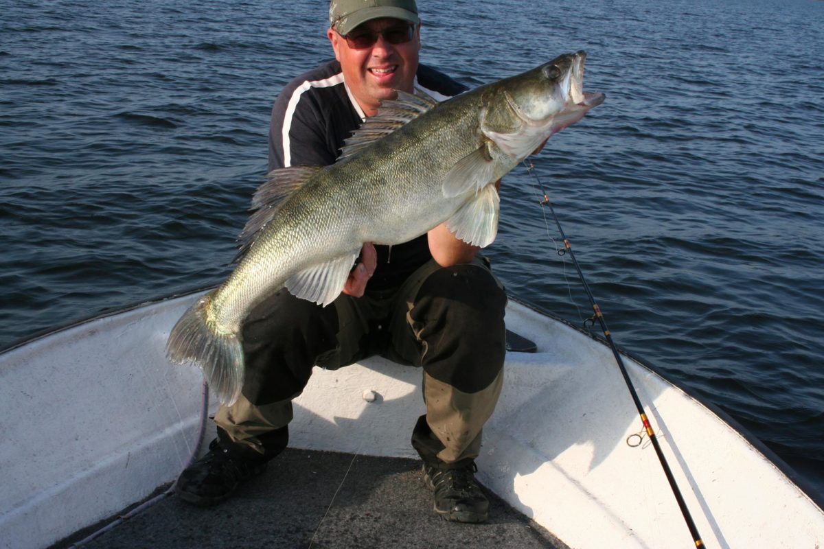 Dextershadd leverer mer en bare gjedde :-) (7340gr ) september