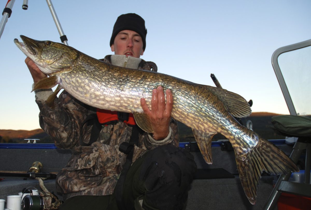 Roger med ny film, Dobbelt run!