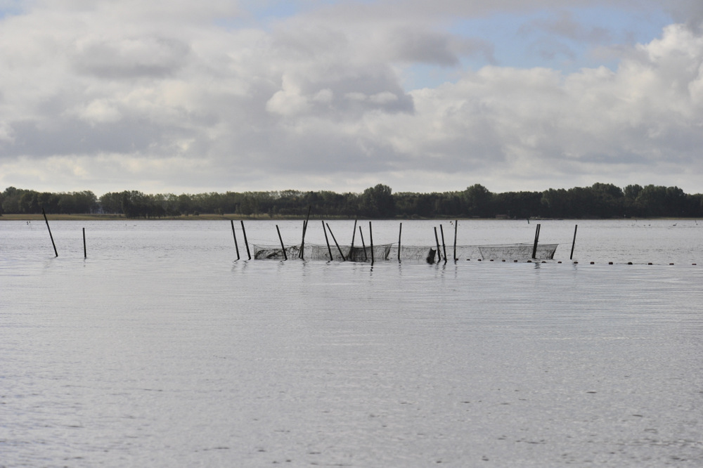 Prosjektet Fishing Zealand i Danmark.