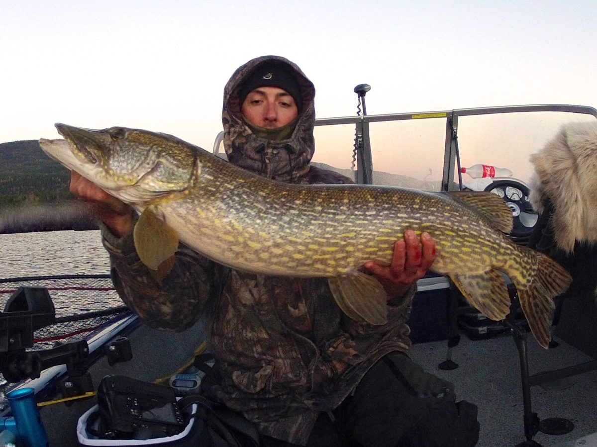 Nr.100 over 8kilo :)