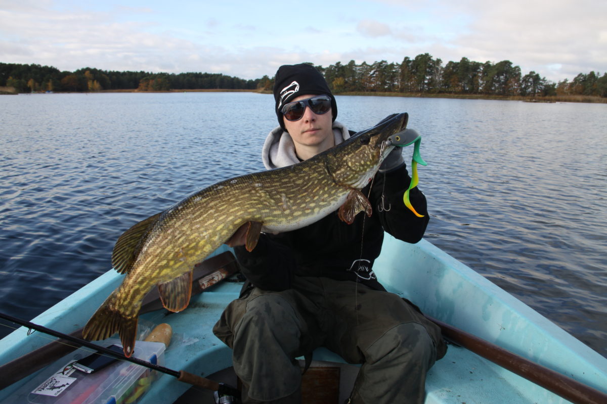 Skinnet skal bidrar på pikewallis.