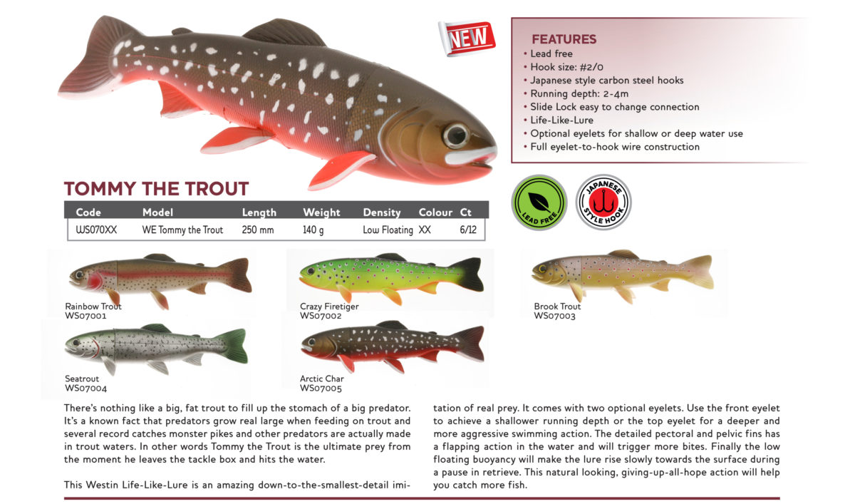 Westin er i ferd med å bygge opp en europeisk team.