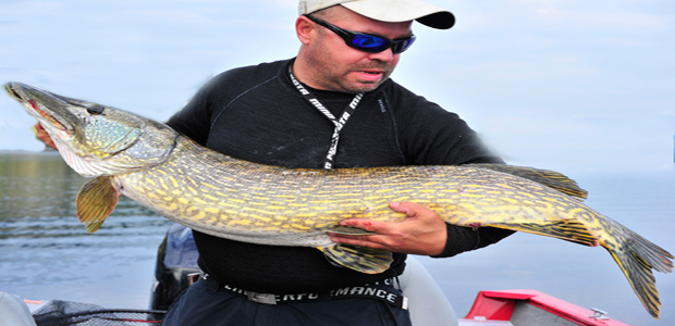 Litt opprydding på siden og endring i teamet.