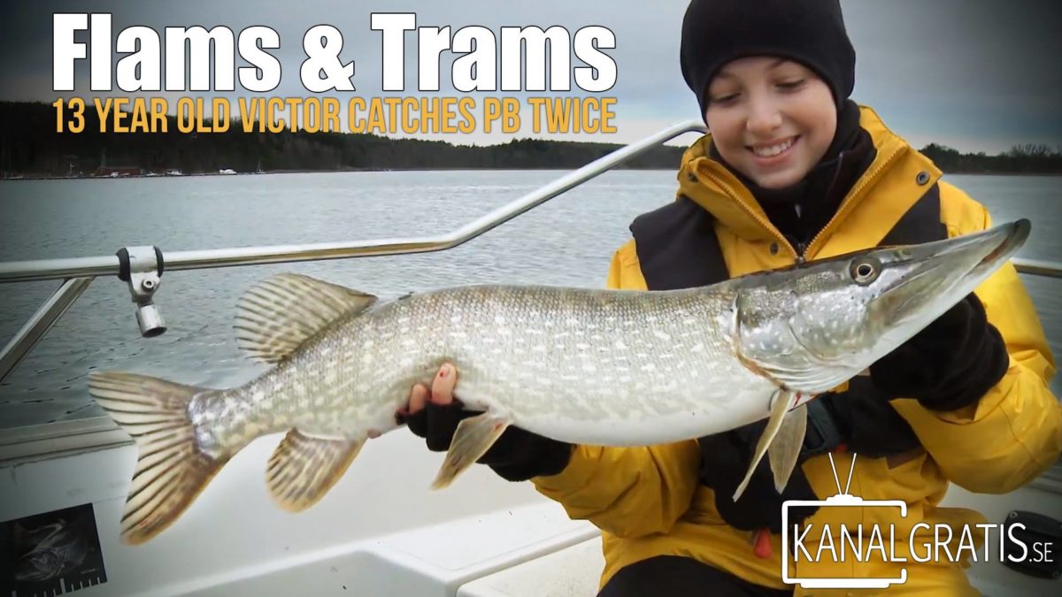 Flams & Trams  Kanalgratis