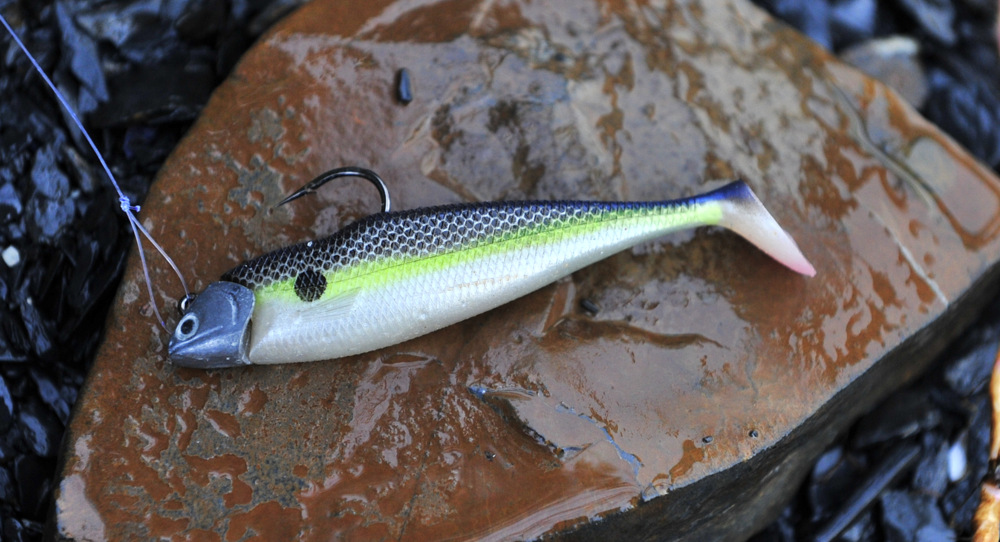 Nitro shad