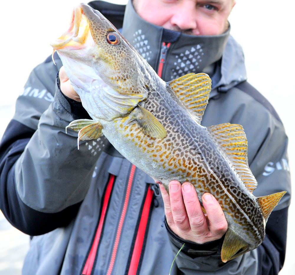 flotte tegninger
