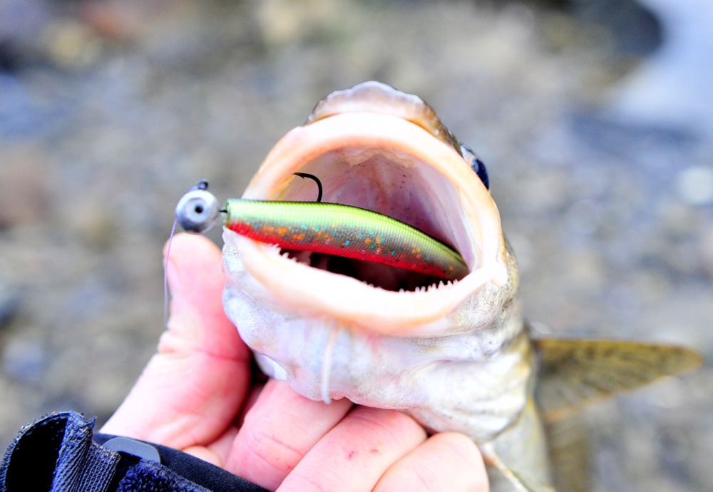 method shad
