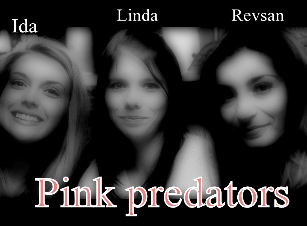 Et lite kick-off for Pink Predators